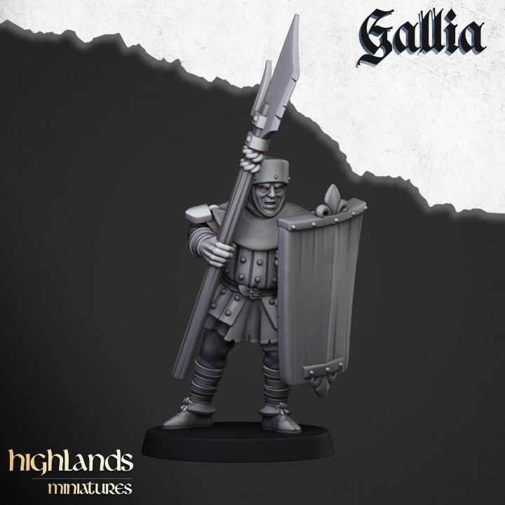 Gallia Men at Arms 20x - Highlands Miniatures