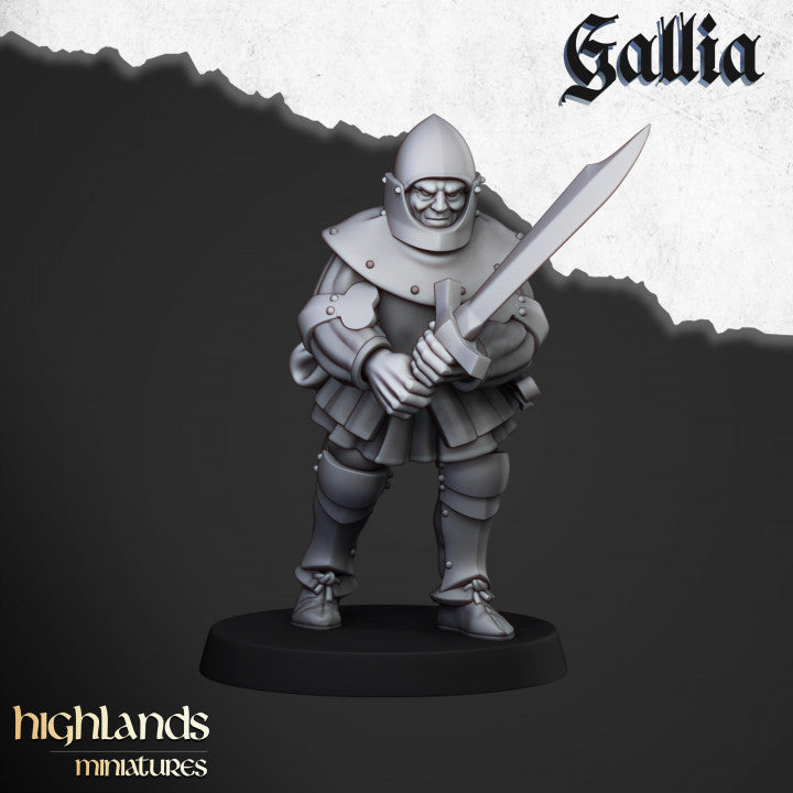 Gallia Men at Arms 20x - Highlands Miniatures