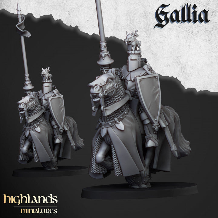Knights of Gallia 8x - Highlands Miniatures