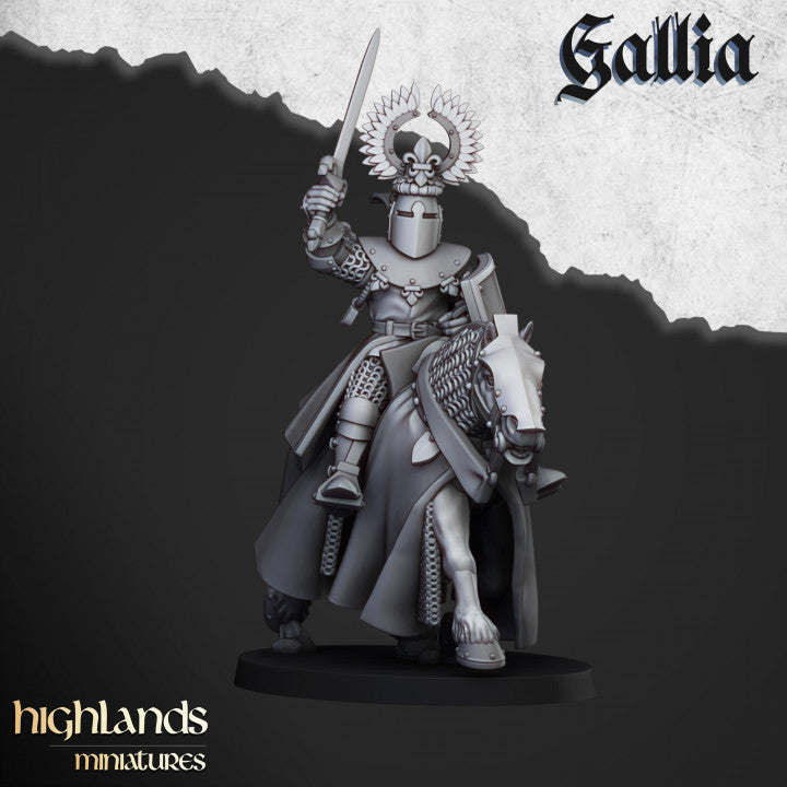Knights of Gallia 8x - Highlands Miniatures