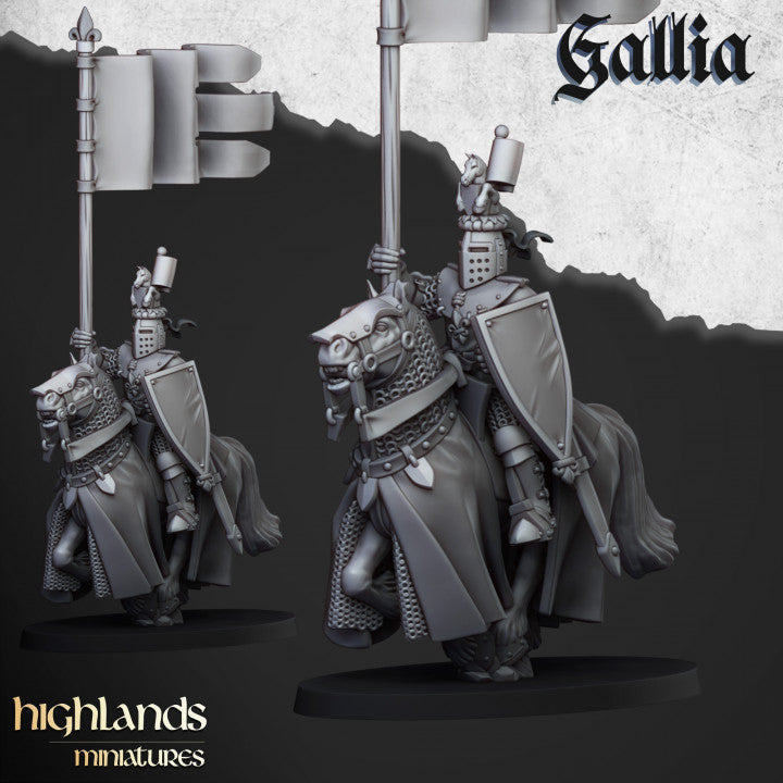 Knights of Gallia 8x - Highlands Miniatures
