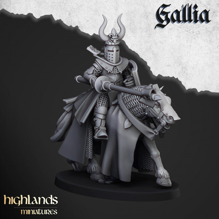 Knights of Gallia 8x - Highlands Miniatures