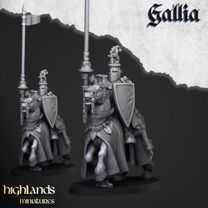 Knights of Gallia 8x - Highlands Miniatures