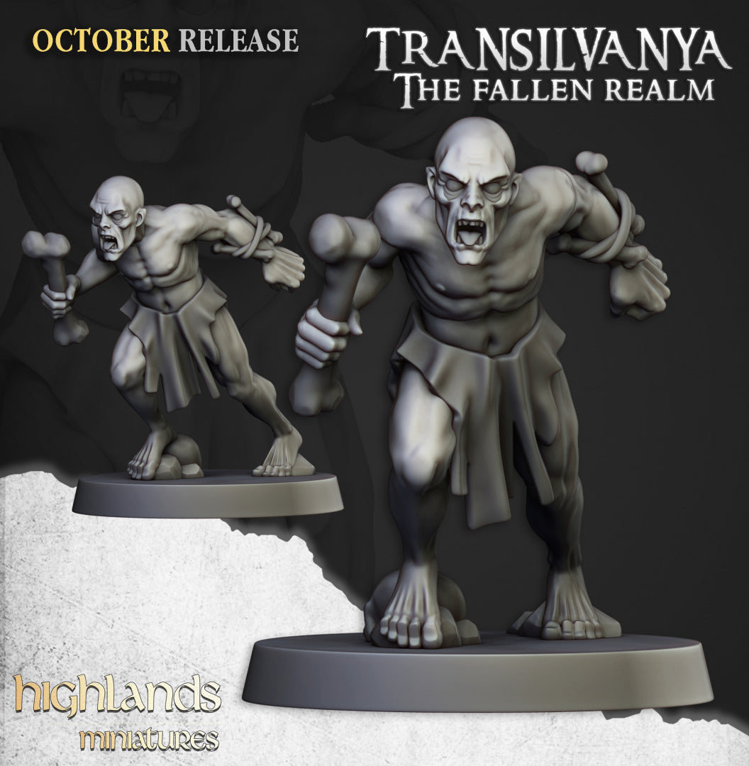 Transilvanya Ghouls Unit 20x - Highlands Miniatures