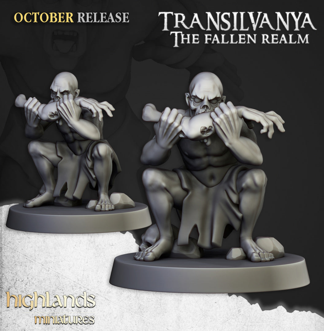 Transilvanya Ghouls Unit 20x - Highlands Miniatures