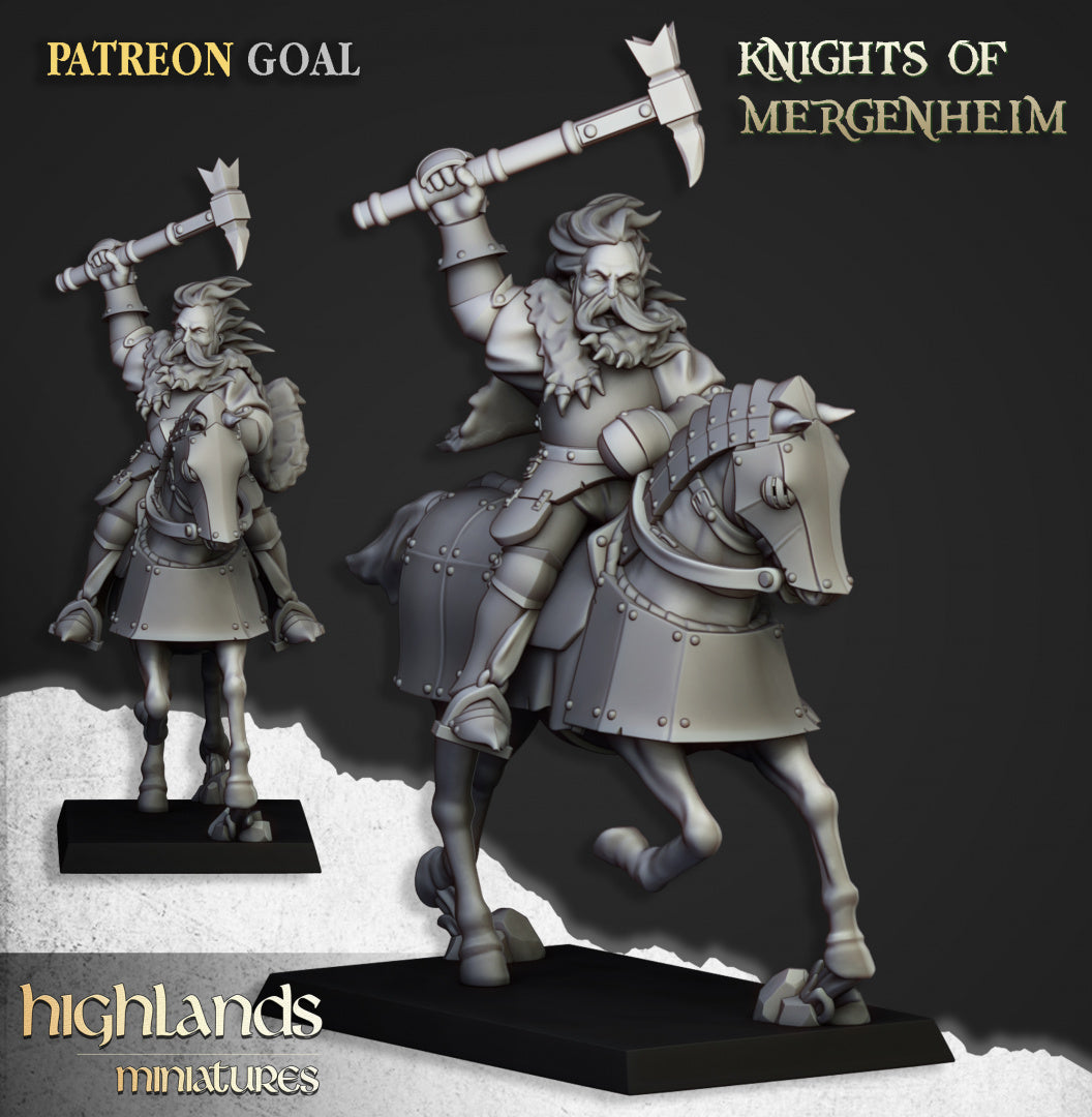 Knights of Mergenheim 10x - Highlands Miniatures