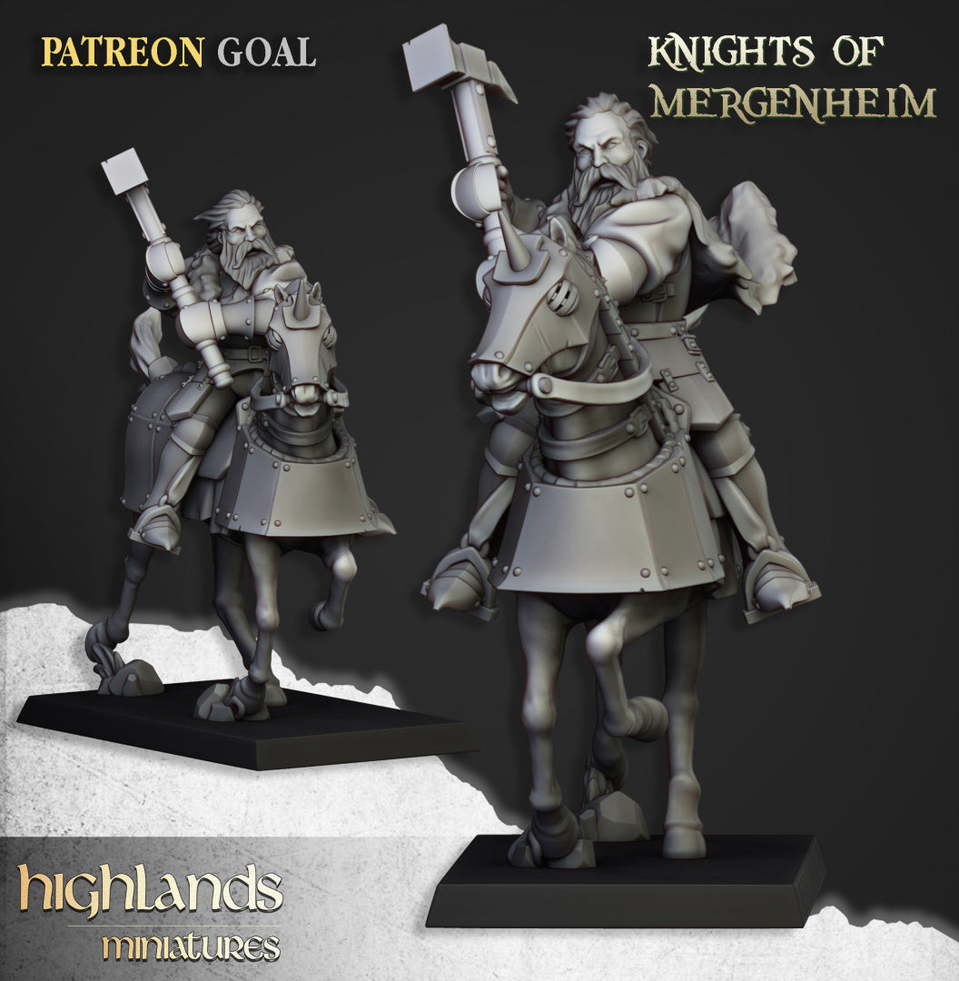 Knights of Mergenheim 10x - Highlands Miniatures
