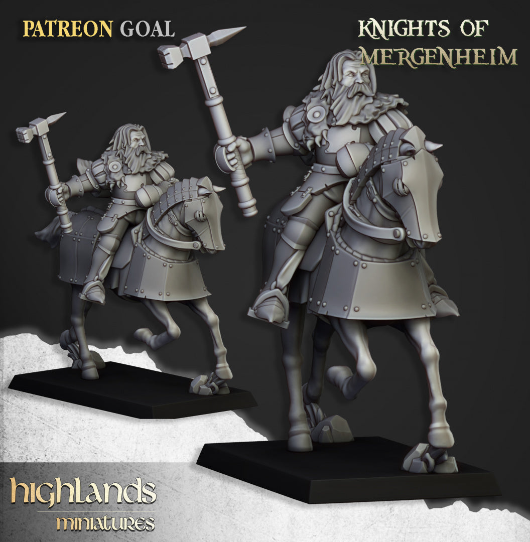 Knights of Mergenheim 10x - Highlands Miniatures
