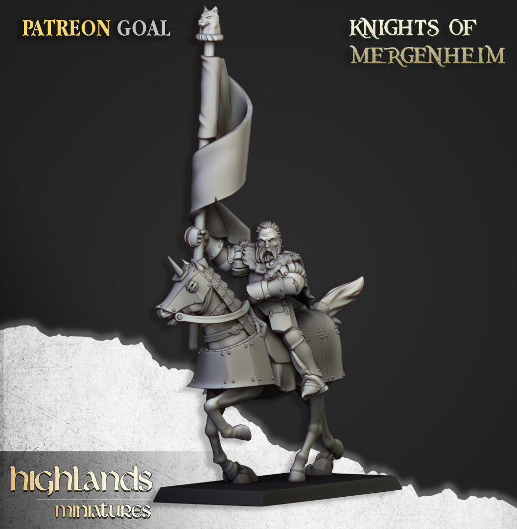 Knights of Mergenheim 10x - Highlands Miniatures