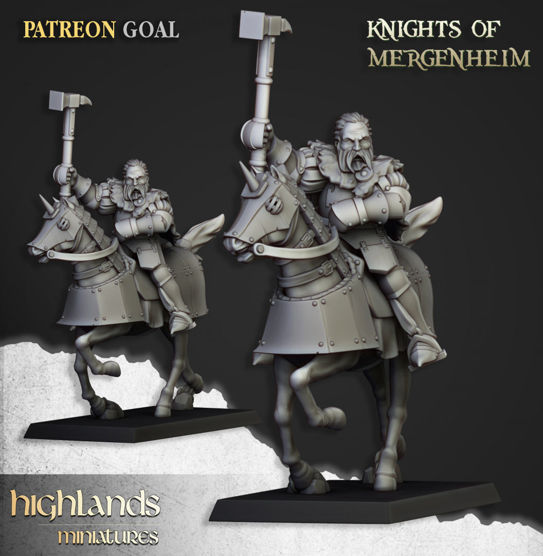 Knights of Mergenheim 10x - Highlands Miniatures