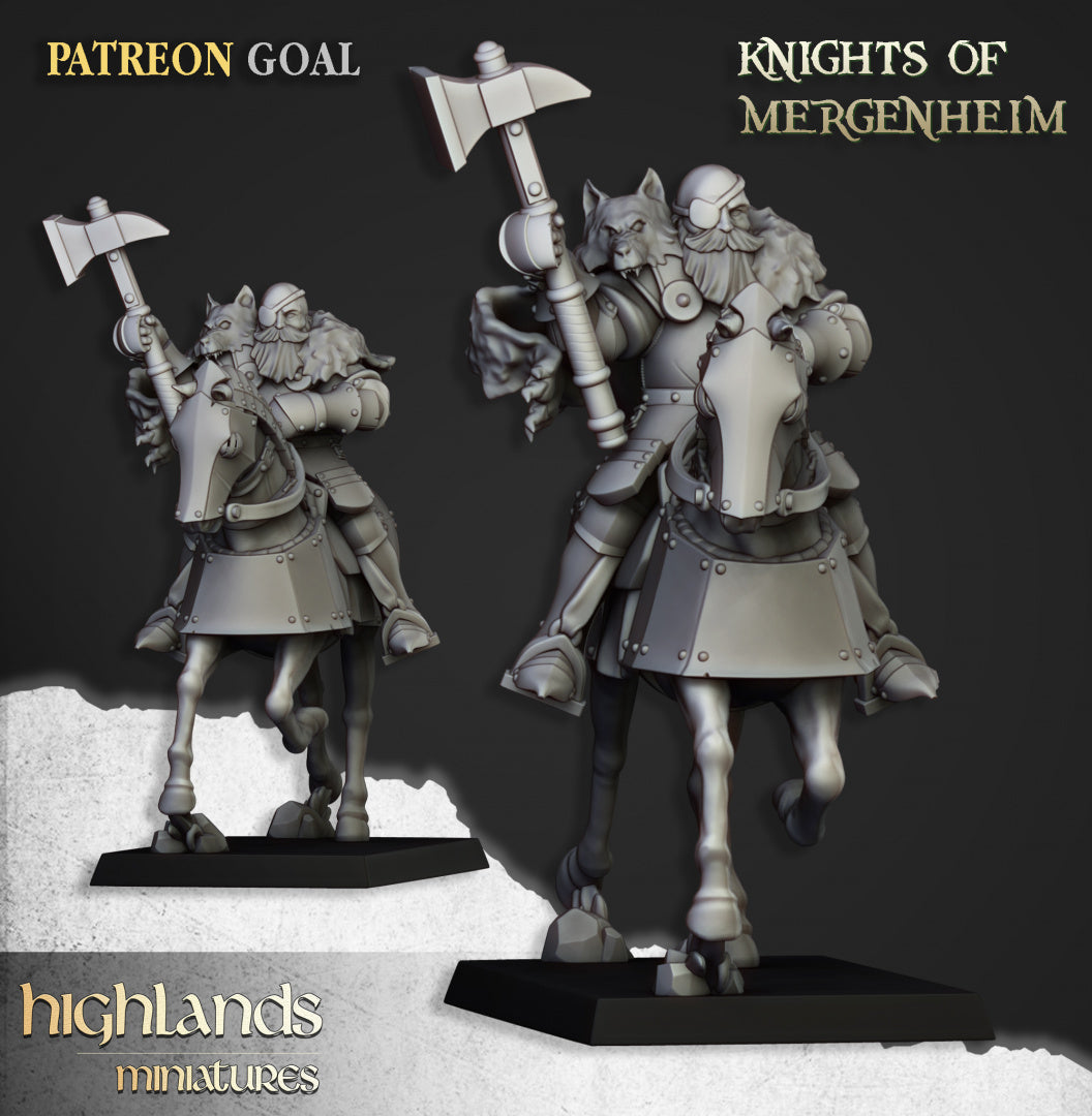 Knights of Mergenheim 10x - Highlands Miniatures