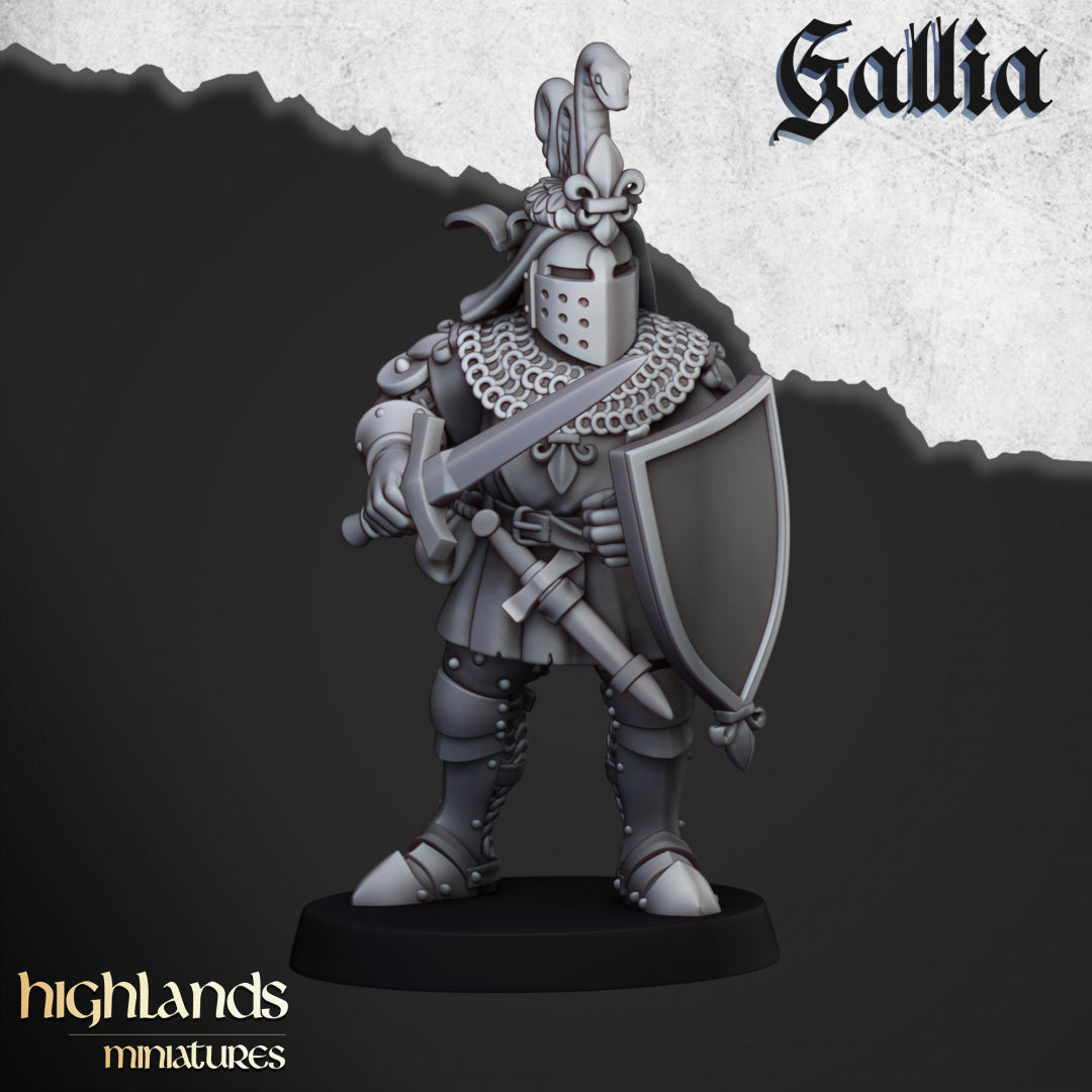 Knights of Gallia on Foot 20x - Highlands Miniatures