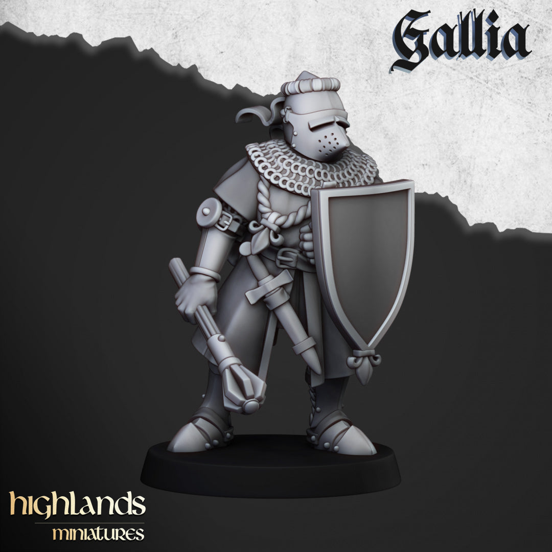 Knights of Gallia on Foot 20x - Highlands Miniatures