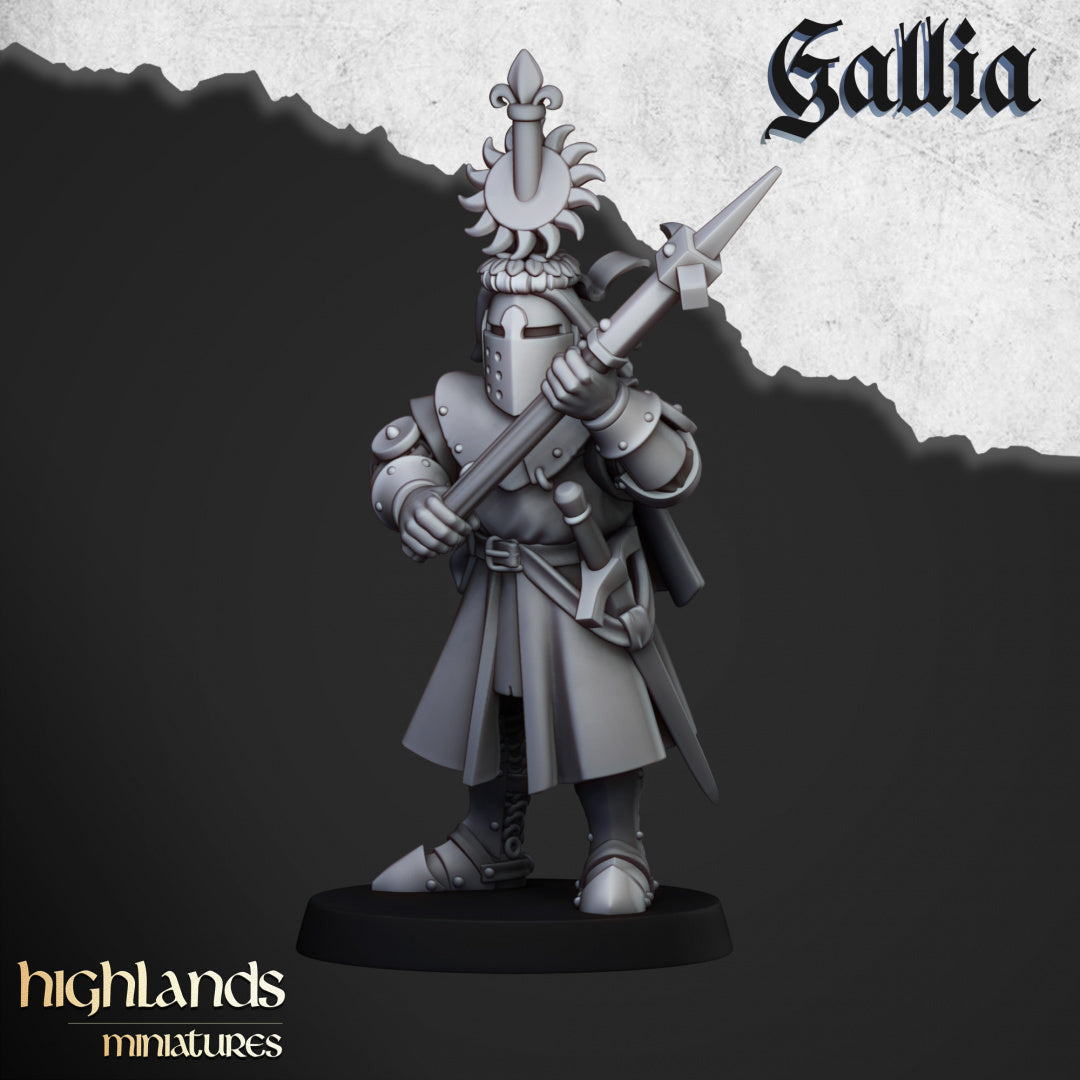Knights of Gallia on Foot 20x - Highlands Miniatures