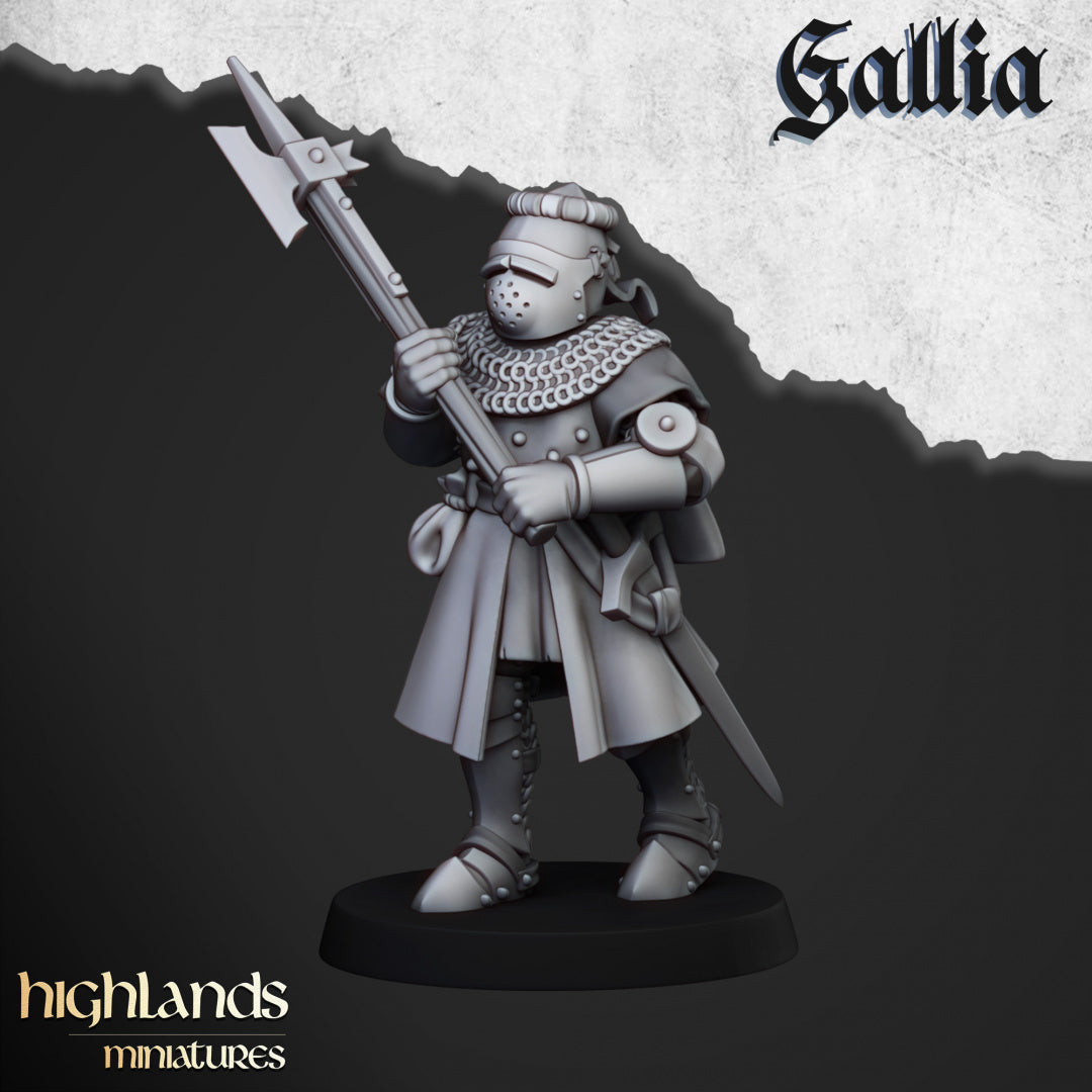 Knights of Gallia on Foot 20x - Highlands Miniatures