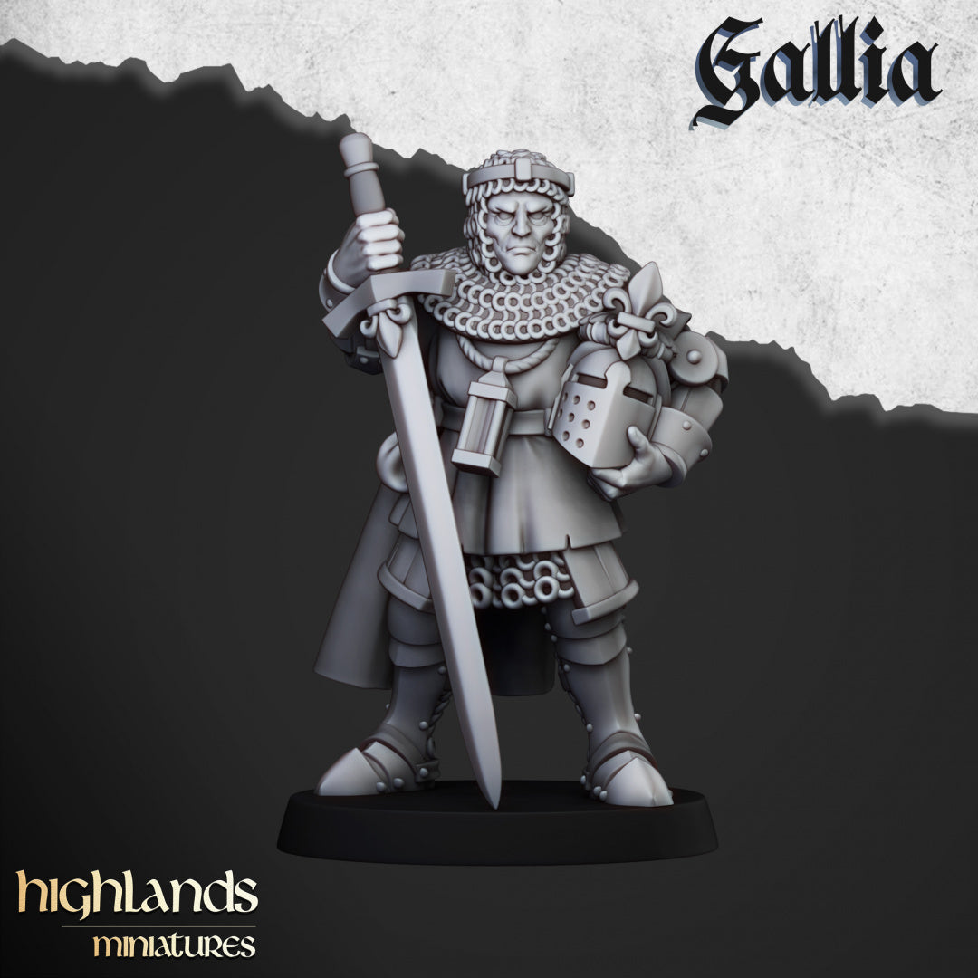 Knights of Gallia on Foot 20x - Highlands Miniatures