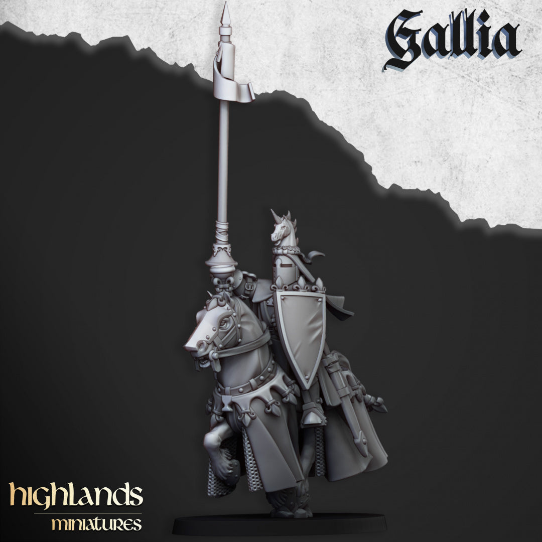 Royal Knights of Gallia 8x - Highlands Miniatures