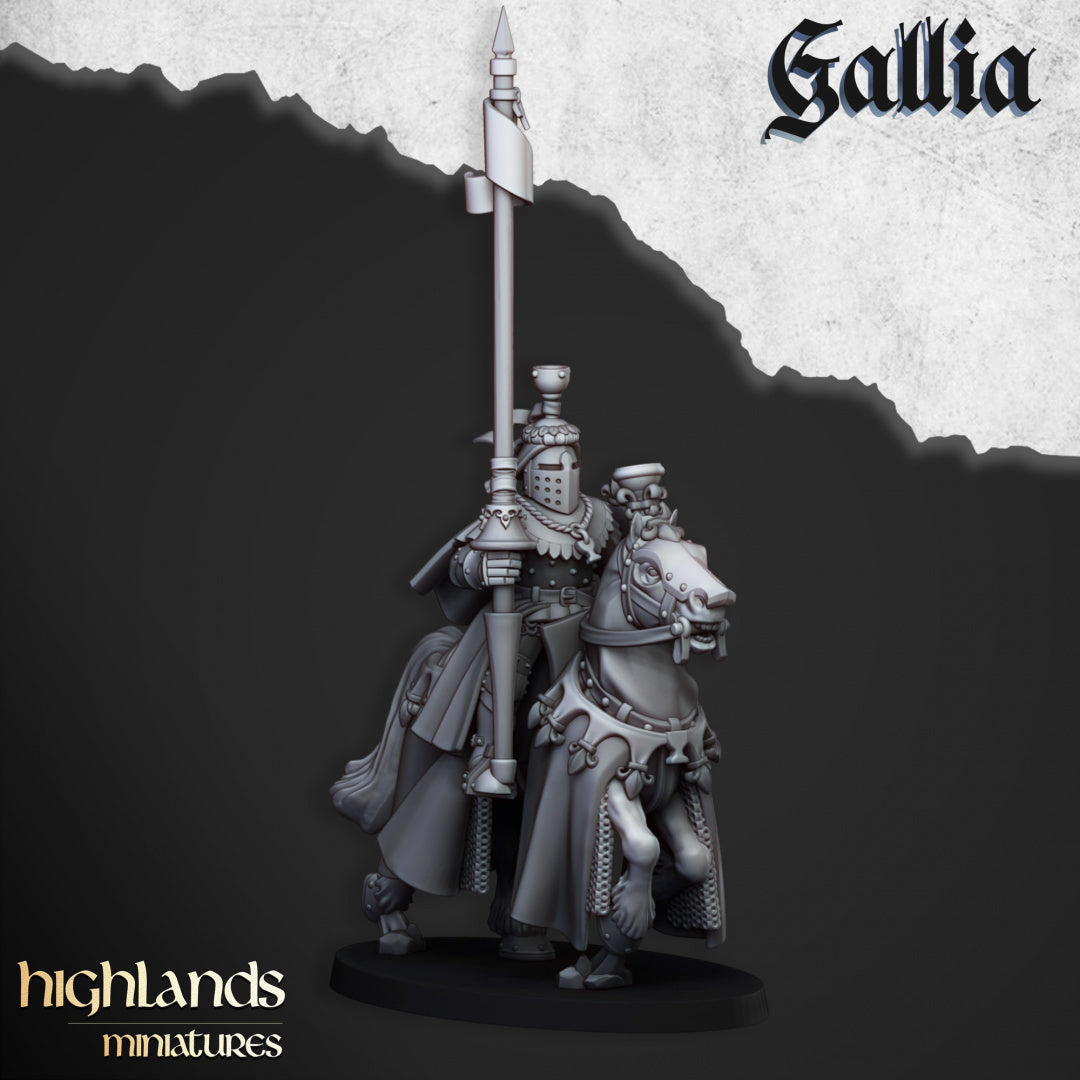 Royal Knights of Gallia 8x - Highlands Miniatures