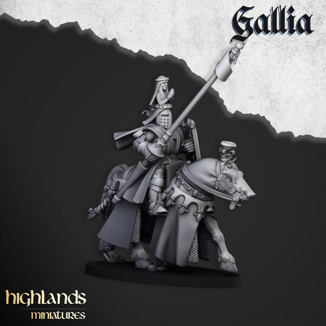 Royal Knights of Gallia 8x - Highlands Miniatures