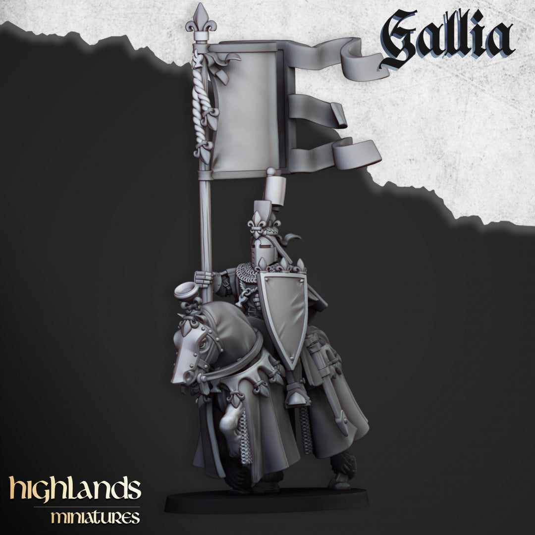Royal Knights of Gallia 8x - Highlands Miniatures