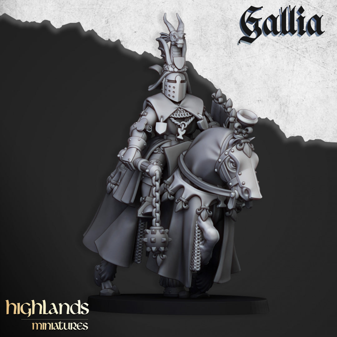 Royal Knights of Gallia 8x - Highlands Miniatures