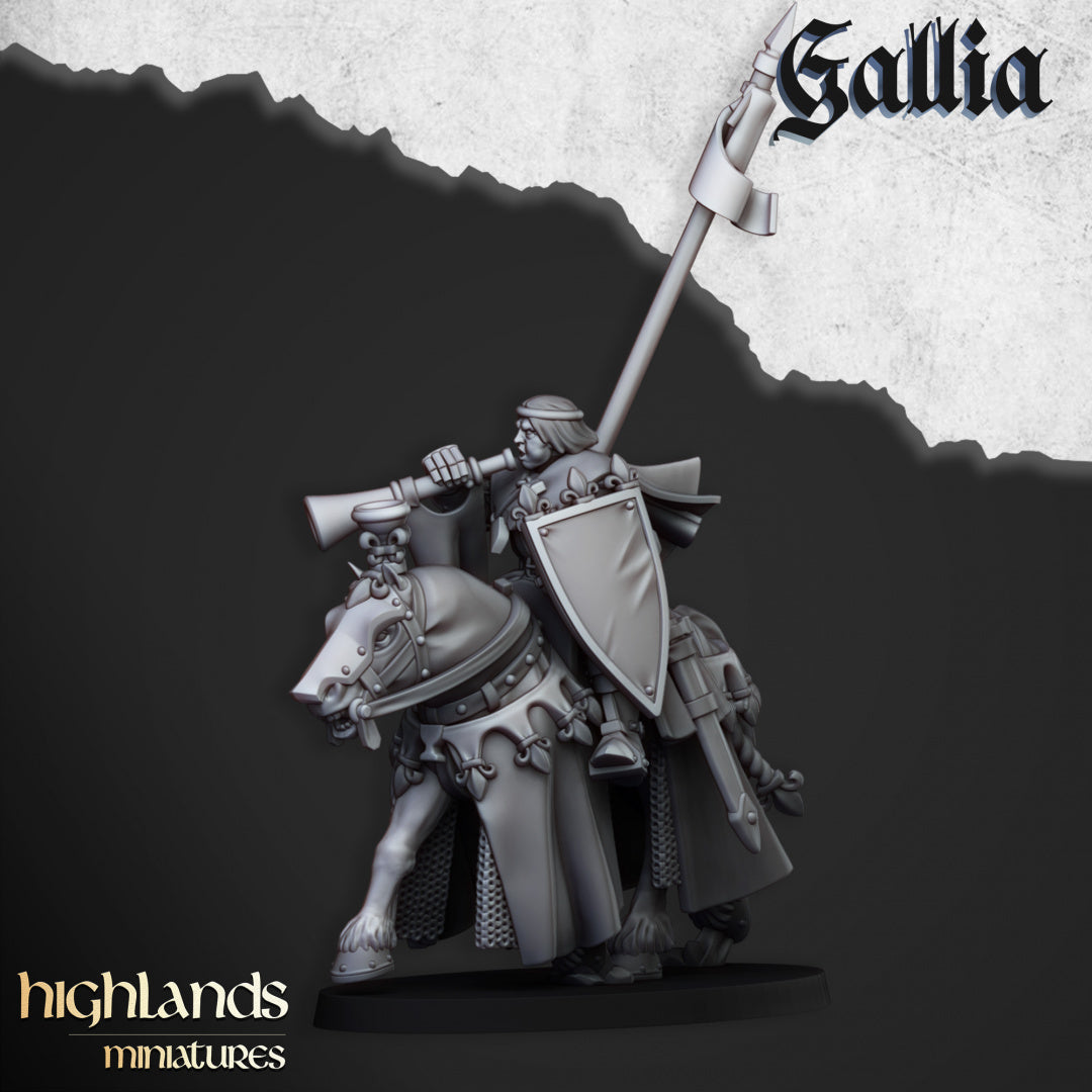 Royal Knights of Gallia 8x - Highlands Miniatures