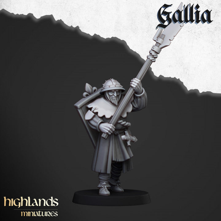 Gallia Men at Arms 20x - Highlands Miniatures