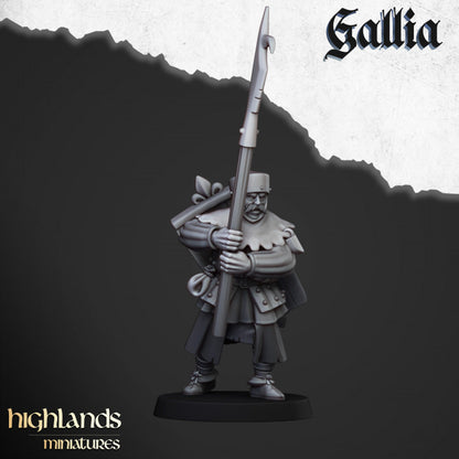 Gallia Men at Arms 20x - Highlands Miniatures