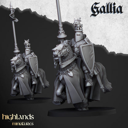 Knights of Gallia 8x - Highlands Miniatures