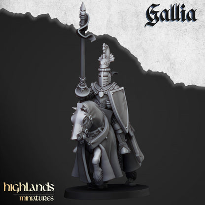 Knights of Gallia 8x - Highlands Miniatures