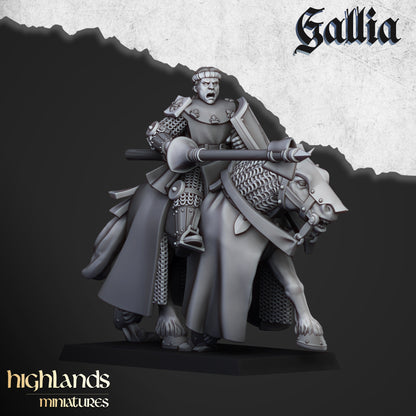 Young Knights of Gallia - Highlands Miniatures