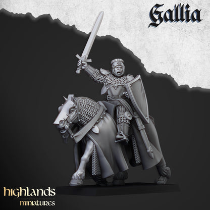 Young Knights of Gallia - Highlands Miniatures