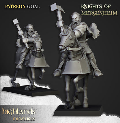 Knights of Mergenheim 10x - Highlands Miniatures