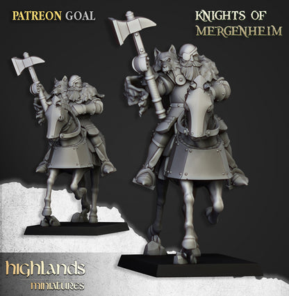 Knights of Mergenheim 10x - Highlands Miniatures