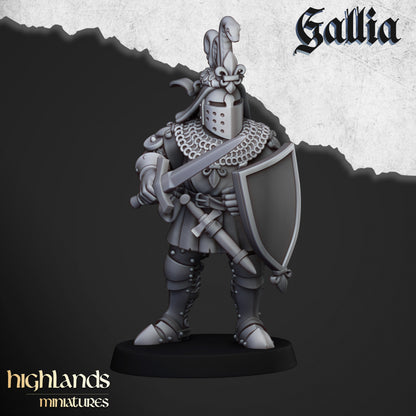 Knights of Gallia on Foot 20x - Highlands Miniatures
