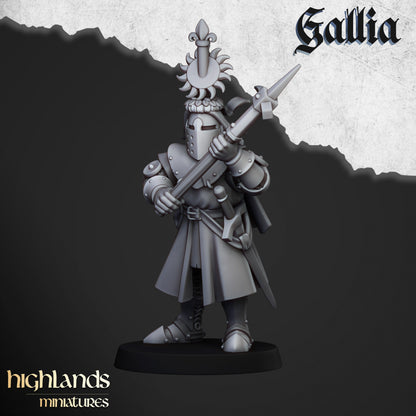 Knights of Gallia on Foot 20x - Highlands Miniatures