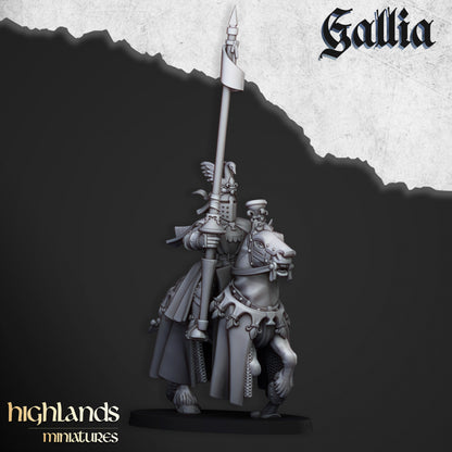 Royal Knights of Gallia 8x - Highlands Miniatures