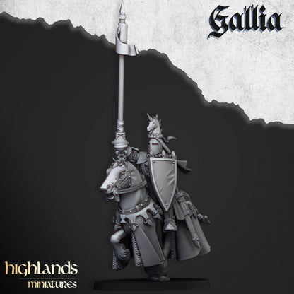 Royal Knights of Gallia 8x - Highlands Miniatures