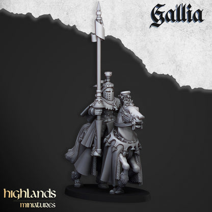 Royal Knights of Gallia 8x - Highlands Miniatures