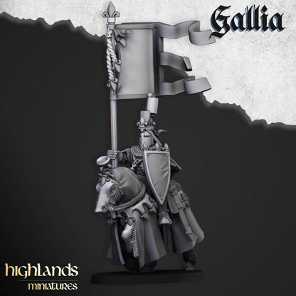 Royal Knights of Gallia 8x - Highlands Miniatures