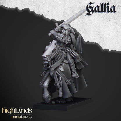 Gallia Questing Knights 8x - Highlands Miniatures