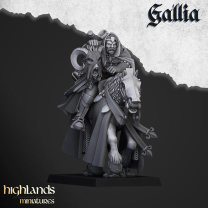 Gallia Questing Knights 8x - Highlands Miniatures